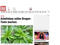 Bild zum Artikel: BA-Plan - Arbeitslose sollen Drogen-Tests machen