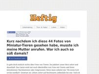 Bild zum Artikel: Kurz nachdem ich diese 44 Fotos von Miniatur-Tieren gesehen habe, musste ich meine Mutter...