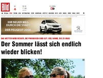 Bild zum Artikel: Der Sommer lässt sich endlich wieder blicken