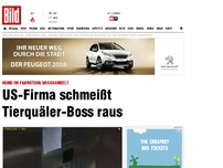 Bild zum Artikel: Hund misshandelt - US-Firma schmeisst Tierquäler-Boss raus