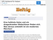 Bild zum Artikel: Eine halbtote Katze und ein drogenkranker Obdachloser finden sich. Was daraus entsteht ist ein...