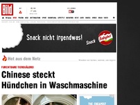 Bild zum Artikel: Es sollte ein Scherz sein - Er wäscht Hündchen in Waschmaschine