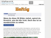 Bild zum Artikel: Wenn du diese 30 Bilder siehst, spürst du förmlich, wie die Uhr tickt. Doch das ist so...