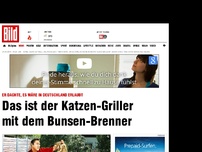 Bild zum Artikel: Anwohner geschockt - Das ist der Katzen-Griller mit dem Bunsen-Brenner