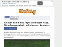 Bild zum Artikel: Ein Reh kam eines Tages zu diesem Haus. Was dann geschah, sah niemand kommen.