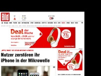 Bild zum Artikel: Nutzer zerstören ihr iPhone in der Mikrowelle