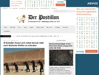 Bild zum Artikel: IS-Kämpfer freuen sich schon darauf, bald auch deutsche Waffen zu erbeuten
