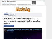 Bild zum Artikel: Was hinter diesen Bäumen gleich hervorkommt, muss man selber gesehen haben.