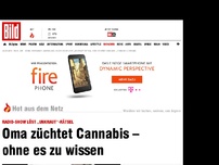 Bild zum Artikel: „Was ist dieses Unkraut?“ - Oma züchtet Cannabis – ohne es zu wissen