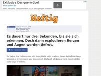 Bild zum Artikel: Es dauert nur drei Sekunden, bis sie sich erkennen. Doch dann explodieren Herzen und Augen...