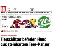 Bild zum Artikel: Dramatische Rettung - Tierschützer befreien Hund aus Teer-Panzer