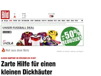 Bild zum Artikel: Babyfant in Not - Zarte Hilfe für einen kleinen Dickhäuter