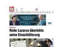 Bild zum Artikel: Wunder-Hund - Lazarus überlebte seine Einschläferung