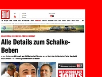 Bild zum Artikel: Schalke-Beben - Jetzt kommt Di Matteo