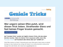 Bild zum Artikel: Wer ungern seinen Ofen putzt, wird diesen Trick lieben. Strahlender Glanz und fast keinen Finger krumm gemacht.