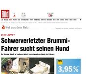 Bild zum Artikel: Wo ist „Happy“? - Schwerverletzter Brummi- Fahrer sucht seinen Hund