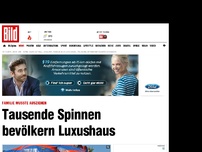 Bild zum Artikel: Familie musste ausziehen - Tausende Spinnen bevölkern Luxushaus