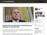 Bild zum Artikel: Skandalurteil: Korrupte Justiz verurteilt Undercover-Aufdecker zu drei Jahren Haft