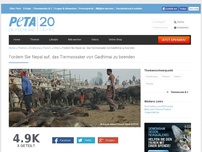 Bild zum Artikel: Fordern Sie Nepal auf, das Tiermassaker von Gadhimai zu beenden