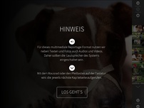 Bild zum Artikel: Tiere suchen ein Zuhause - Multimedia-Reportage: Gewalt in der Hundeerziehung