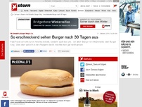 Bild zum Artikel: Mc Donald's, Burger King & Co.: So erschreckend sehen Burger nach 30 Tagen aus