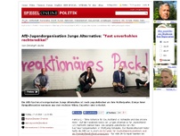 Bild zum Artikel: AfD-Jugendorganisation Junge Alternative: 'Fast unverhohlen rechtsradikal'