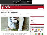 Bild zum Artikel: Jagdverbot in Nordrhein-Westfalen: Katzen in den Kochtopf!