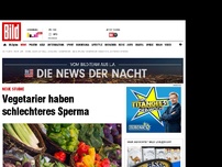 Bild zum Artikel: Neue Studie - Vegetarier haben schlechteres Sperma