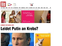 Bild zum Artikel: Gerüchte um Kreml-Chef - Leidet Putin an Krebs?
