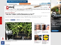 Bild zum Artikel: Shitstorm nach Cannabis-Fund: 'Hat die Polizei nichts Besseres zu tun?'