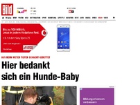 Bild zum Artikel: Aus Schacht gerettet - Hier bedankt sich ein Hunde-Baby