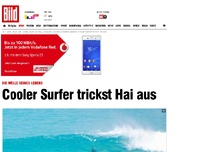 Bild zum Artikel: Die Welle seines Lebens - Cooler Surfer trickst Hai aus​