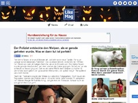 Bild zum Artikel: Der Polizist entdeckte den Welpen, als er gerade getreten wurde. Was er dann tut ist perfekt!