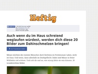 Bild zum Artikel: Auch wenn du im Haus schreiend weglaufen würdest, werden dich diese 20 Bilder zum Dahinschmelzen...