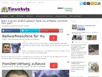 Bild zum Artikel: Nach 2 Jahren endlich gefasst! Dank Social Media verhaftet! Sehr gut!!