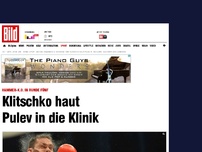 Bild zum Artikel: Hammer-K.o. in Runde fünf - Klitschko haut Pulev in die Klinik