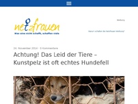 Bild zum Artikel: Achtung! Das Leid der Tiere – Kunstpelz ist oft echtes Hundefell