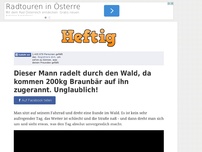 Bild zum Artikel: Dieser Mann radelt durch den Wald, da kommen 200kg Braunbär auf ihn zugerannt. Unglaublich!