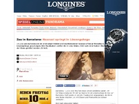 Bild zum Artikel: Zoo in Barcelona: Neonazi springt in Löwengehege