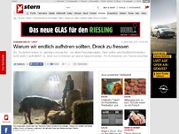Bild zum Artikel: Schweinereien im 'Tatort': Warum wir endlich aufhören sollten, Dreck zu fressen