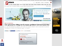 Bild zum Artikel: Video: Schweinebaron Straathof: Der grausame Alltag bei Europas größtem Züchter