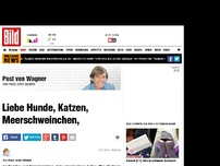 Bild zum Artikel: Post von Wagner - Liebe Hunde, Katzen, Meerschweinchen,