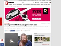 Bild zum Artikel: Im Eis gefangen: Norweger rettet Ente aus zugefrorenem See