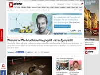 Bild zum Artikel: Mit versteckter Kamera gefilmt: Wiesenhof-Weihnachtsenten gequält und aufgespießt