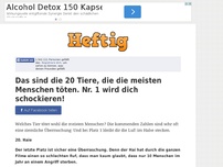 Bild zum Artikel: Das sind die 20 Tiere, die die meisten Menschen töten. Nr. 1 wird dich schockieren!