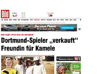 Bild zum Artikel: Spaß-Post - BVB-Spieler „verkauft“ Freundin für Kamele
