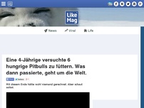 Bild zum Artikel: Eine 4-Jährige versuchte 6 hungrige Pitbulls zu füttern. Was dann passierte, geht um die Welt.