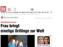 Bild zum Artikel: Zum Verwechseln ähnlich - Frau bringt eineiige Drillinge zur Welt