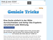 Bild zum Artikel: Eine Socke einfach in der Mitte durchschneiden und fertig! Das Ergebnis verschönert jede Wohnung.