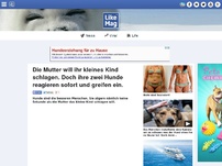 Bild zum Artikel: Die Mutter will ihr kleines Kind schlagen. Doch ihre zwei Hunde reagieren sofort und greifen ein.